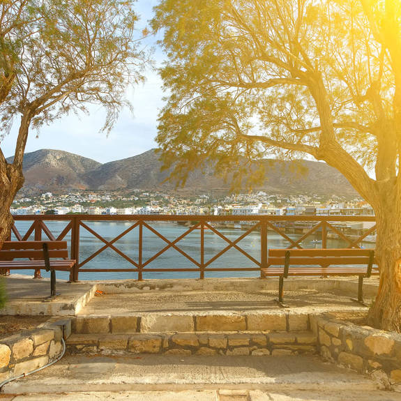 Two trees and Hersonissos in the background